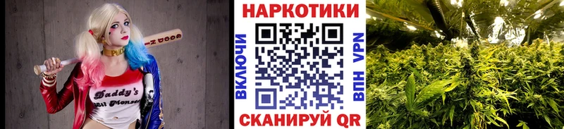 Наркота Славгород Cocaine Меф СК Конопля