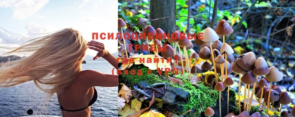 мет Белокуриха