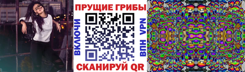 KRAKEN зеркало  Славгород  Галлюциногенные грибы GOLDEN TEACHER  где купить наркотик 